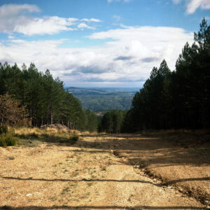 Peneda Gerês region • 2024