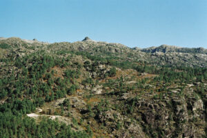 Mountain postcard #1 • 2024