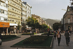 Sunshine boulevard • 2024