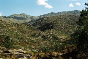Mountain postcard #3 • 2024