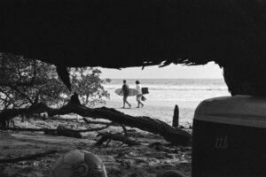 All you need is life • 2025