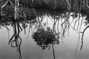 Mirror lake • 2025