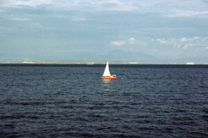 Little red navette • 2025