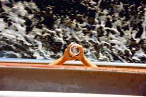 A cup of breeze • 2025