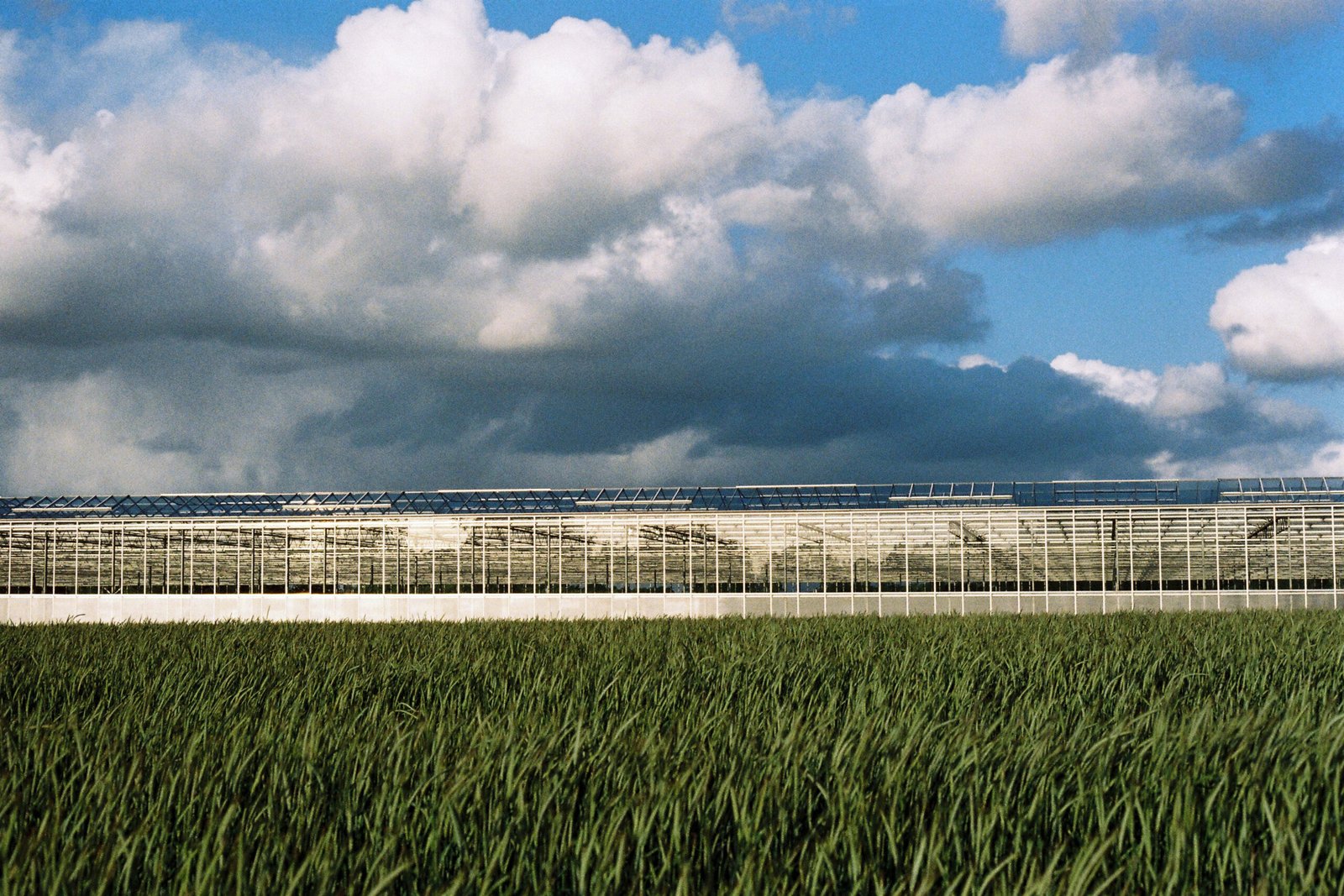 Colour 35 mm