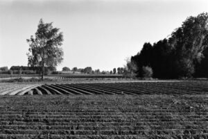 black & white 35 mm