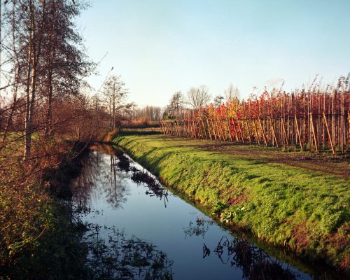 Ten Ede, Belgium • 2024