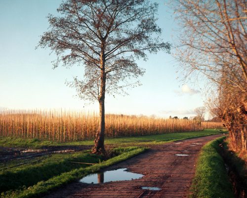 Ten Ede, Belgium • 2024